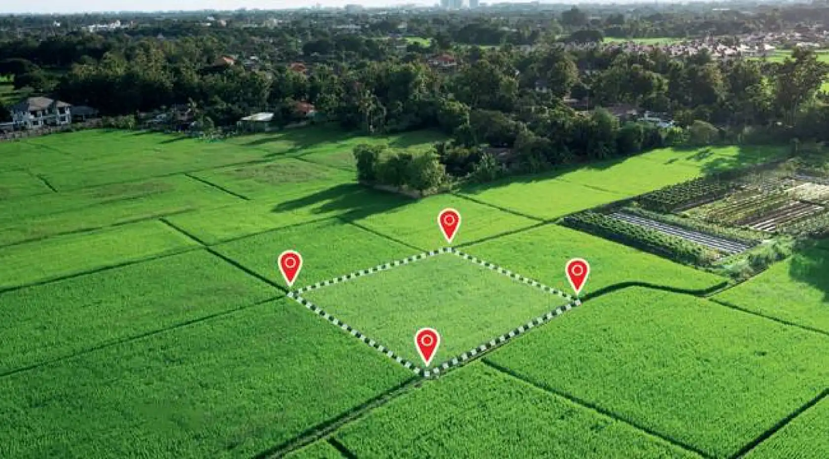 Milli Emlak 81 ilde 1282 hazine arazisi satacak! Fiyatlar ve detaylar belli oldu