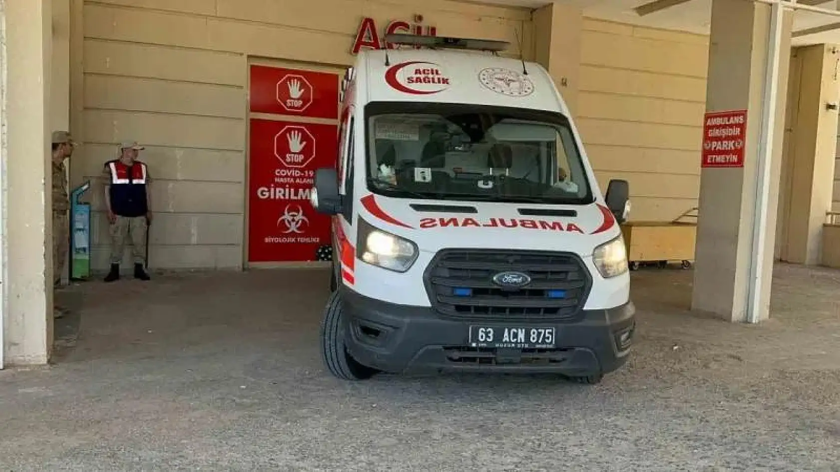 Siverek'te çiftçi domuzun saldırısına uğradı