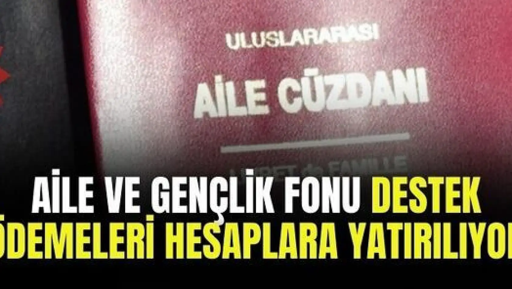 Aile ve Gençlik Fonu faizsiz evlilik kredisi ve iş kurma kredisi ödemeleri hesaplara yatırılıyor 