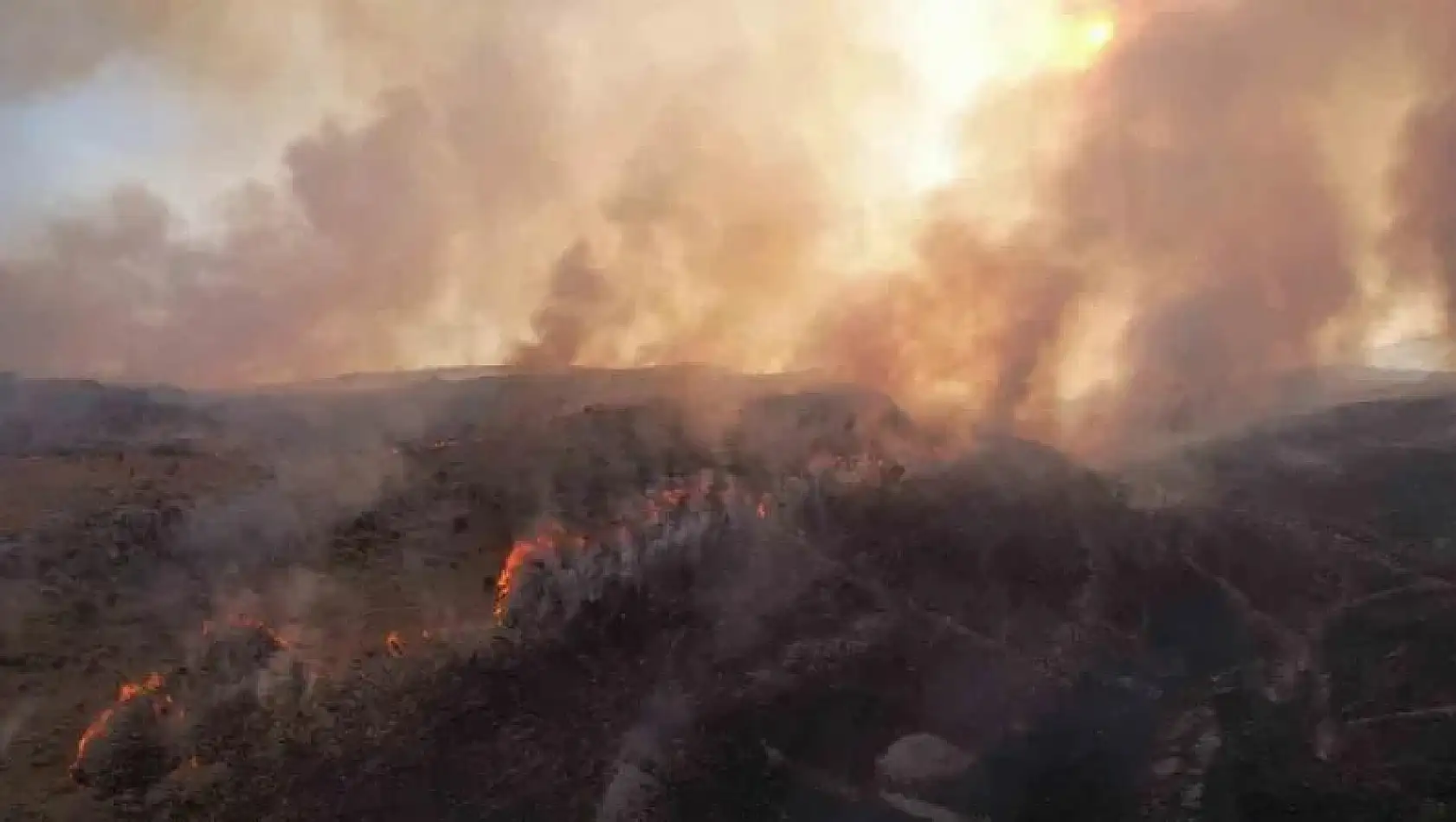 Adıyaman'daki orman yangınına müdahale sürüyor