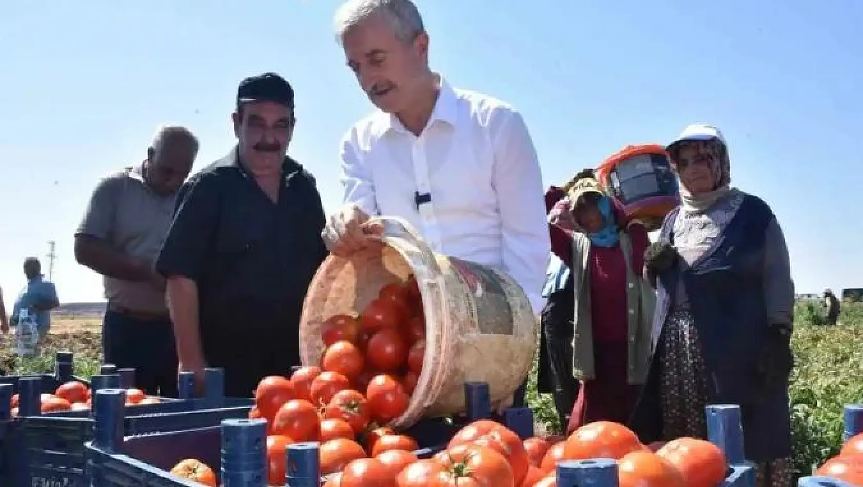 Şahinbey'de domatesin fiyatı tarladan pazara değişmiyor
