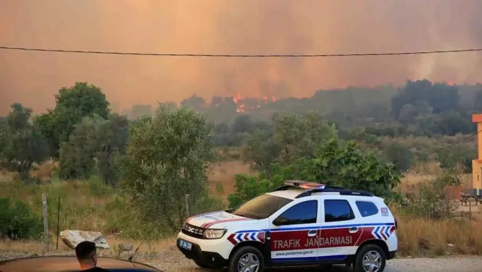 Orman yangınında 7 ev boşaltıldı