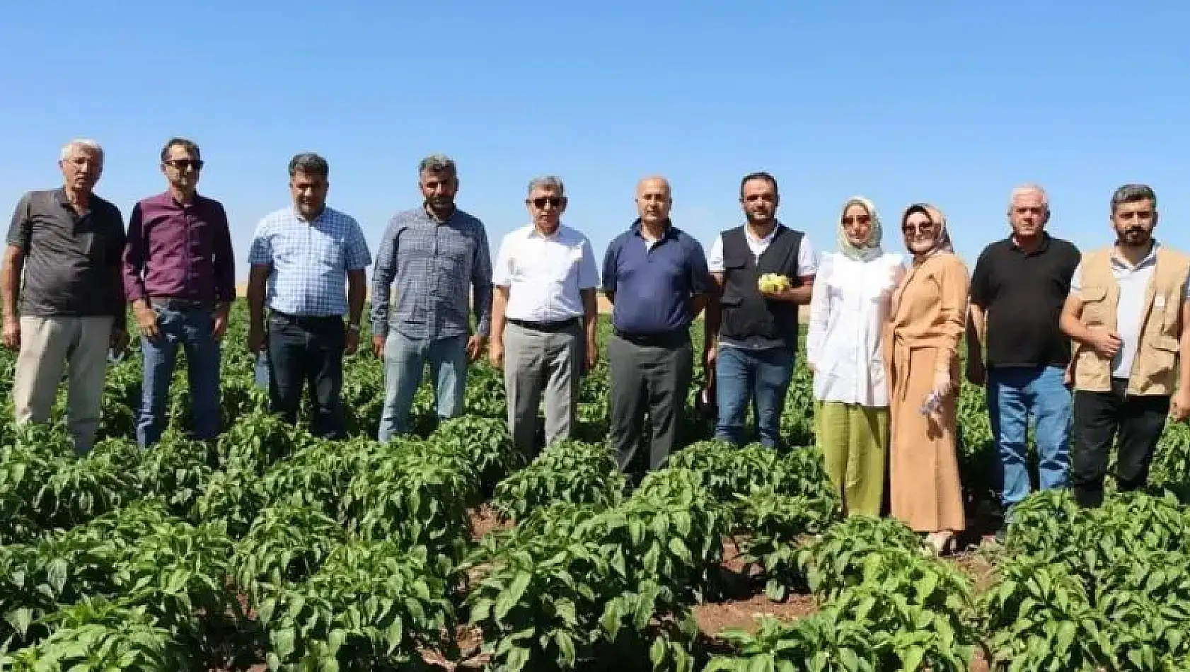 Depremzede Çiftçi aldığı fide ve ekipman desteğiyle 4 ton biber üretti