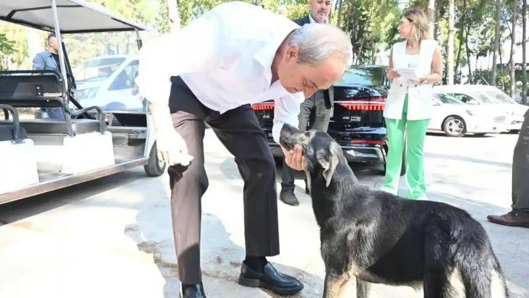 'Köpek yakıldı' iddialarına Başkan Kocagöz son noktayı koydu: İddialar asılsız, görüntüler yanıltıcı