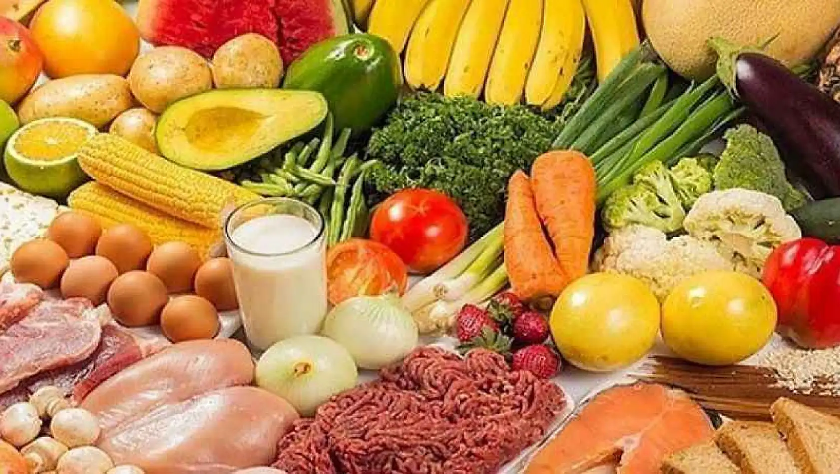 GIDA ÜRÜNLERİ SATIN ALINACAKTIR