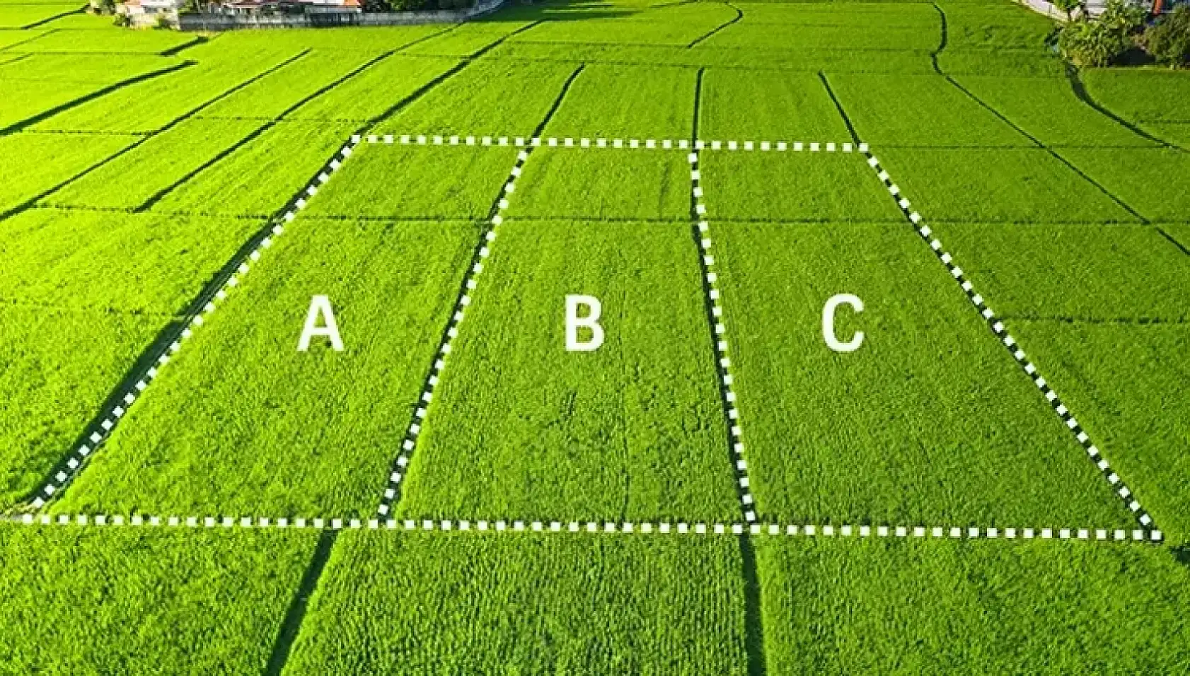 Kentsel Dönüşüm Başkanlığı 43 ilde 383 arsa satışı yapacak