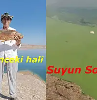 Balık avlamaya gitti hayatının şokunu yaşadı: Atatürk barajında neler oluyor?