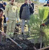 Gölbaşı'nda hatıra ormanı oluşturuldu: Ormanda 500 adet fidan toprakla buluştu
