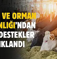 Tarım ve Orman Bakanlığı'ndan yepyeni sağlık desteği ve üç dönemli başvuru sistemi