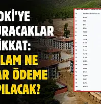 TOKİ'ye başvuracaklar dikkat! 20 yıl içinde ne kadar ödeme yapılacak hesaplandı