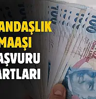 Vatandaşlık maaşı başvuru şartları belli oldu