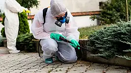 HAŞERELER İLE MÜCADELE (İLAÇLAMA) YAPILMASI HİZMETİ ALINACAKTIR