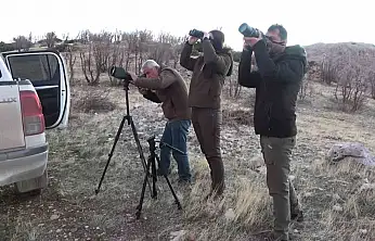 Adıyaman'da yaban keçileri tek tek sayılıyor