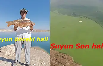Balık avlamaya gitti hayatının şokunu yaşadı: Atatürk barajında neler oluyor?