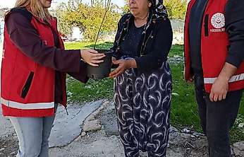 Besni'de yaşlılara fidan desteği