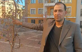 Geçen yıl kuruyan ağaçlar kasım ayında çiçek açtı