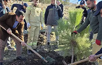 Gölbaşı'nda hatıra ormanı oluşturuldu: Ormanda 500 adet fidan toprakla buluştu