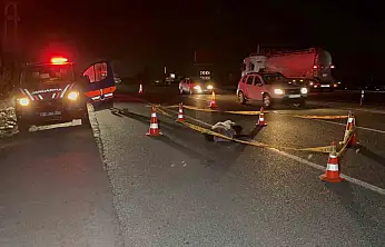 Hafif ticari aracın çarptığı yaşlı adam hayatını kaybetti