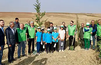 Kahta'da fidanlar toprakla buluştu