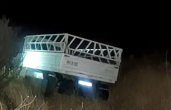 Kamyonet şarampole devrildi: 1 yaralı