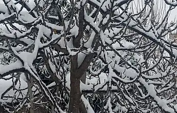 Kar yağışı Gölbaşı'nda kartpostallık görüntüler oluşturdu