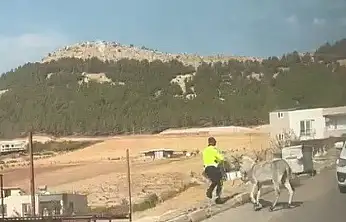 Kazaya davetiye çıkaran eşeğe polis müdahale etti