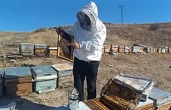 Kışa hazırlanan üreticiden sahte bal uyarısı