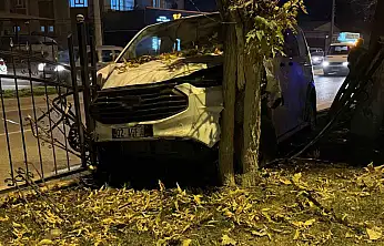 Kontrolden çıkan minibüs, refüjdeki ağaca çarparak durabildi