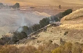 Ormanlık alanda korkutan yangın