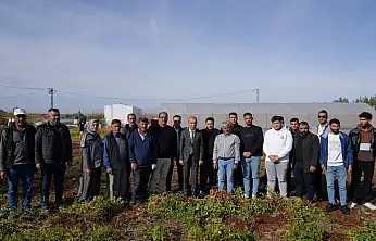 Rektör Keleş Üniversite tarafından üretilen yer fıstığı hasadına katıldı