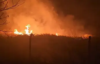 Sülüklü Göl'de kamışlar alev aldı