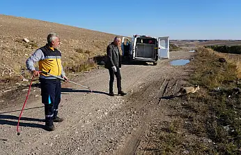 Yaralı tilki tedavisinin ardından doğaya geri bırakıldı