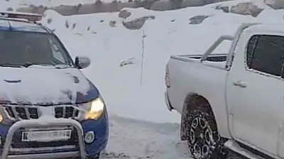 Adıyaman'da dağda mahsur kalan iki çoban ve 800 küçükbaş hayvan kurtarıldı