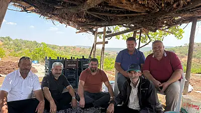 Besni'de üzümler kurumaya bırakıldı