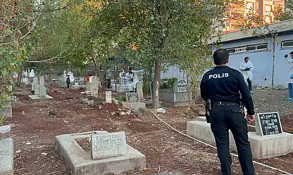 Siverek'te mezarlıkta bebek cesedi bulundu