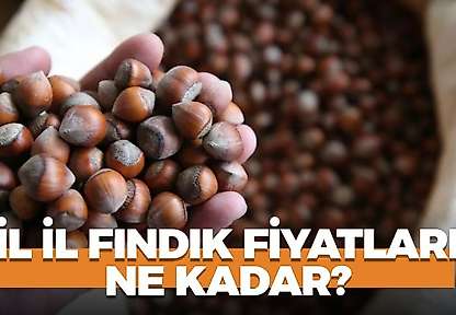 13 Ekim 2026 Salı fındık fiyatları ne kadar? İl il fındık fiyatları