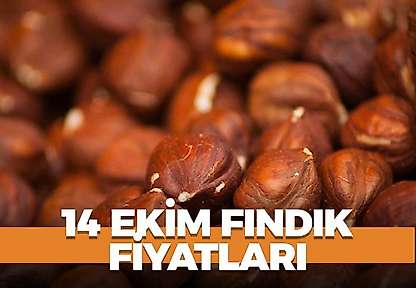 14 Ekim 2026 Çarşamba il il fındık fiyatları ne kadar?