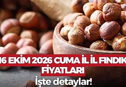 16 Ekim 2026 Cuma fındık fiyatları! İl il fındık fiyatları ne kadar?