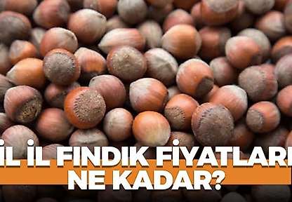 21 Ekim 2026 Çarşamba fındık fiyatları ne kadar? İl il fındık fiyatları