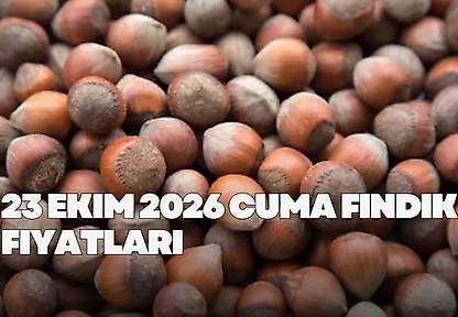 23 Ekim 2026 Cuma fındık fiyatları! İl il fındık fiyatları ne kadar?