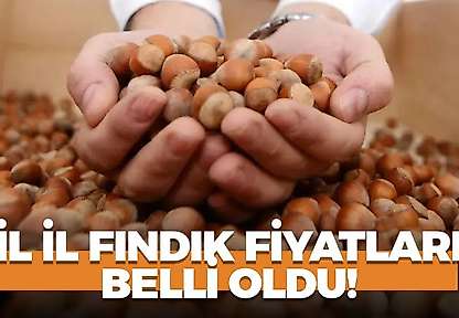30 Ekim 2026 Cuma fındık fiyatları ne kadar? İl il fındık fiyatları