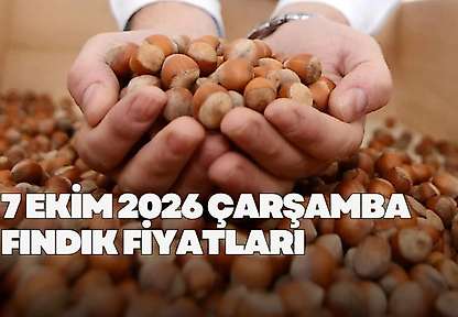 7 Ekim 2026 Çarşamba fındık fiyatları ne kadar? İl il fındık fiyatları