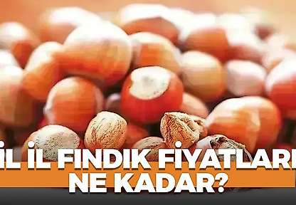 9 Ekim 2026 Cuma fındık fiyatları! İl il fındık fiyatları ne kadar?