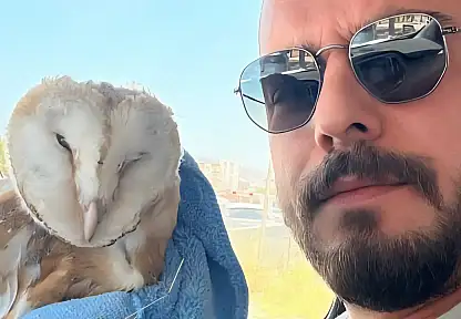 Adıyaman'da bitkin halde Bayağı Peçeli Baykuş bulundu