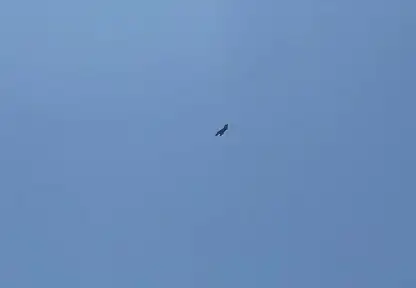 Adıyaman'da F16 savaş uçağı nefes kesti