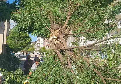 Adıyaman Gölbaşı'nda fırtına etkili oldu