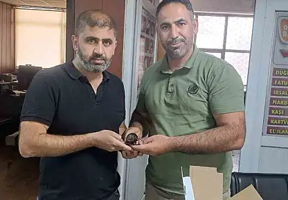 Yaralı halde bulunan ebabil kuşu doğa koruma ekiplerine teslim edildi