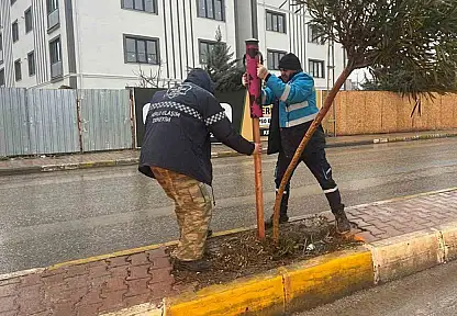 Yeşil alanlarda mevsimlik bakım ve güçlendirme seferberliği