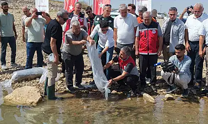 Adıyaman'da 1 milyonun üzerinde yavru sazan doğaya bırakıldı