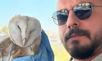 Adıyaman'da bitkin halde Bayağı Peçeli Baykuş bulundu